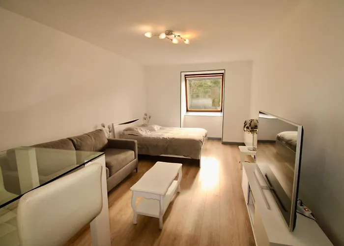 Les Flots Bleu Trouville-sur-mers Apartamento *